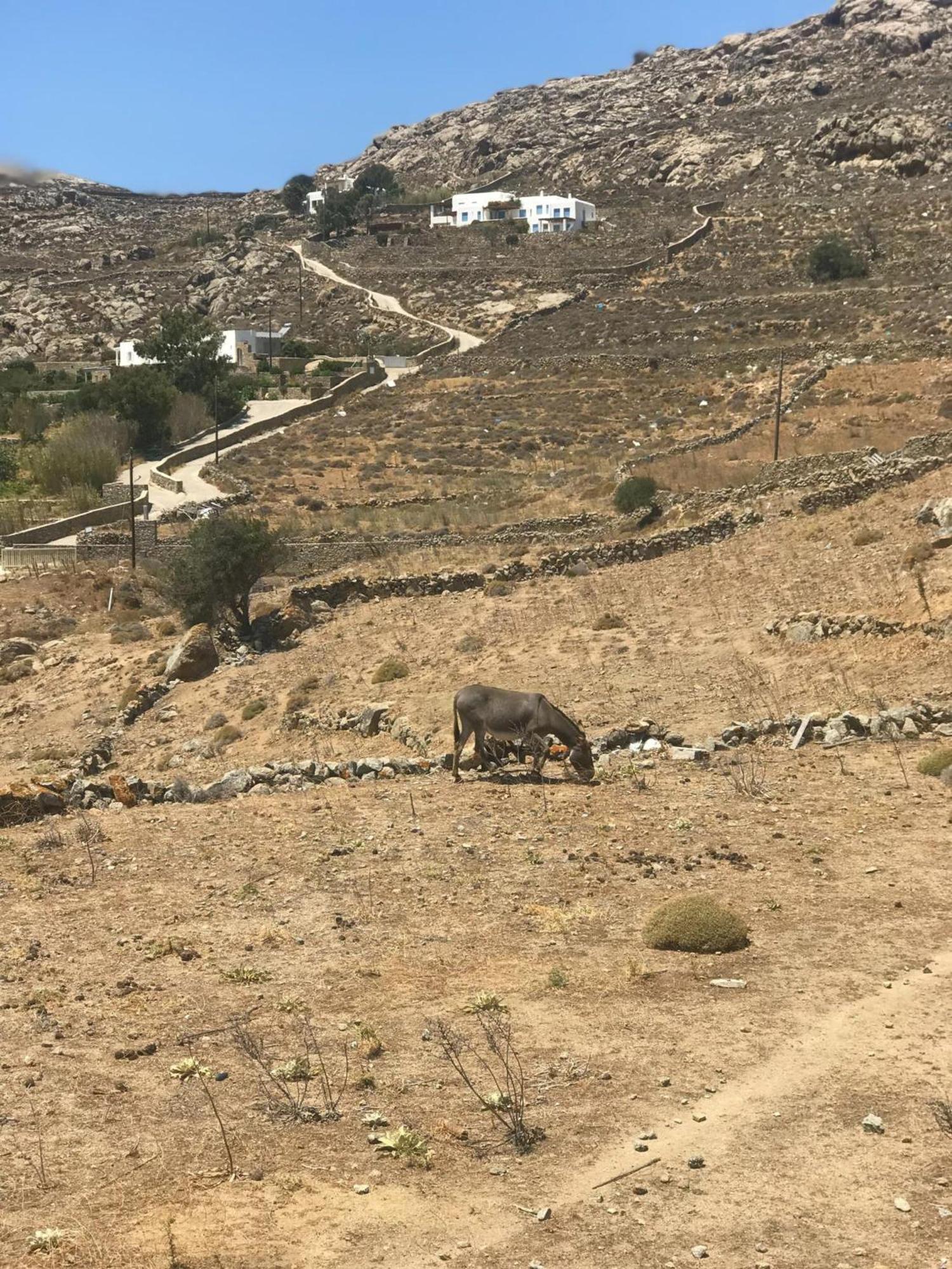 Naira Family Mykonos Σπίτι διακοπών