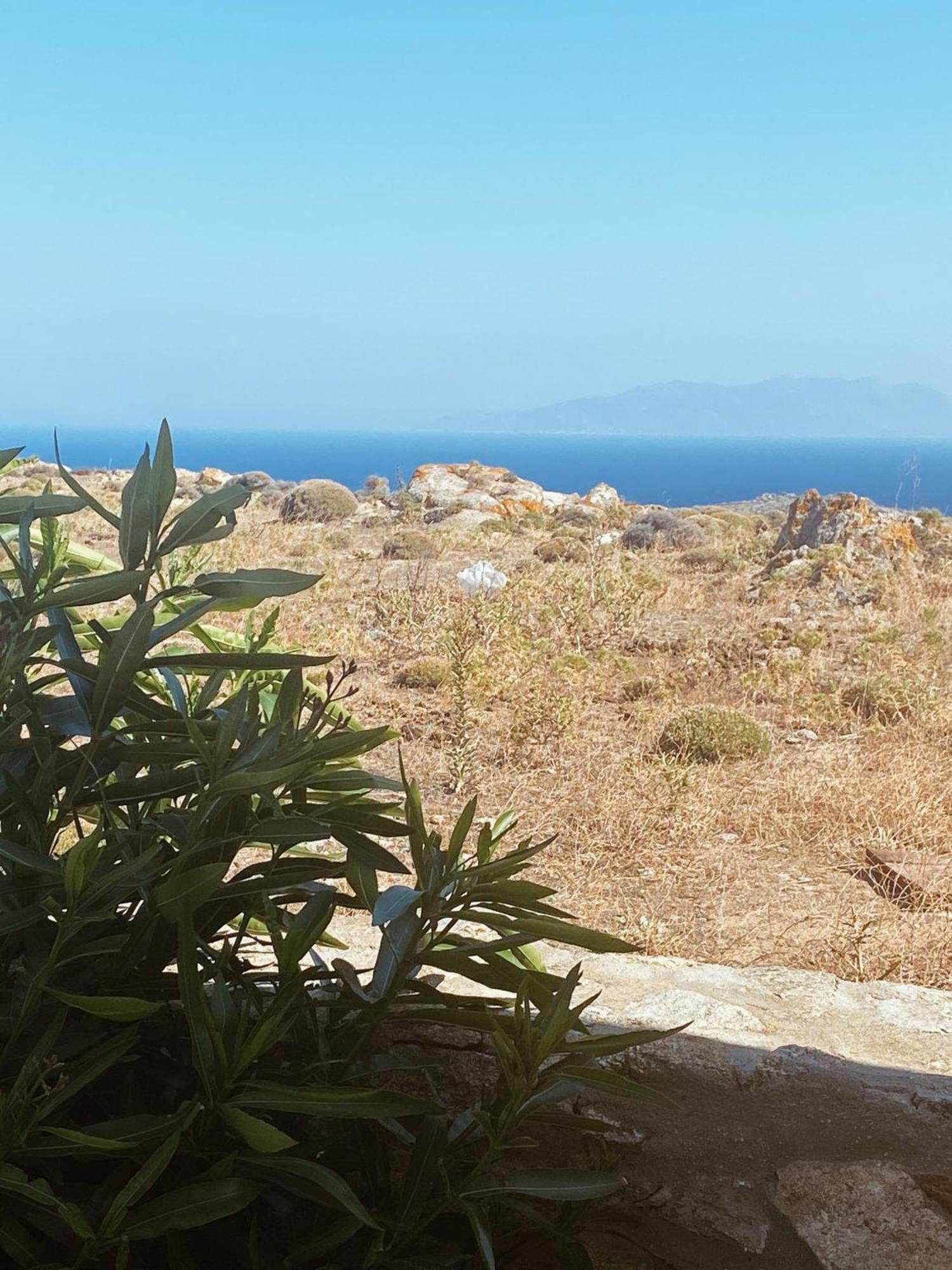 Naira Family Mykonos Holiday home *
