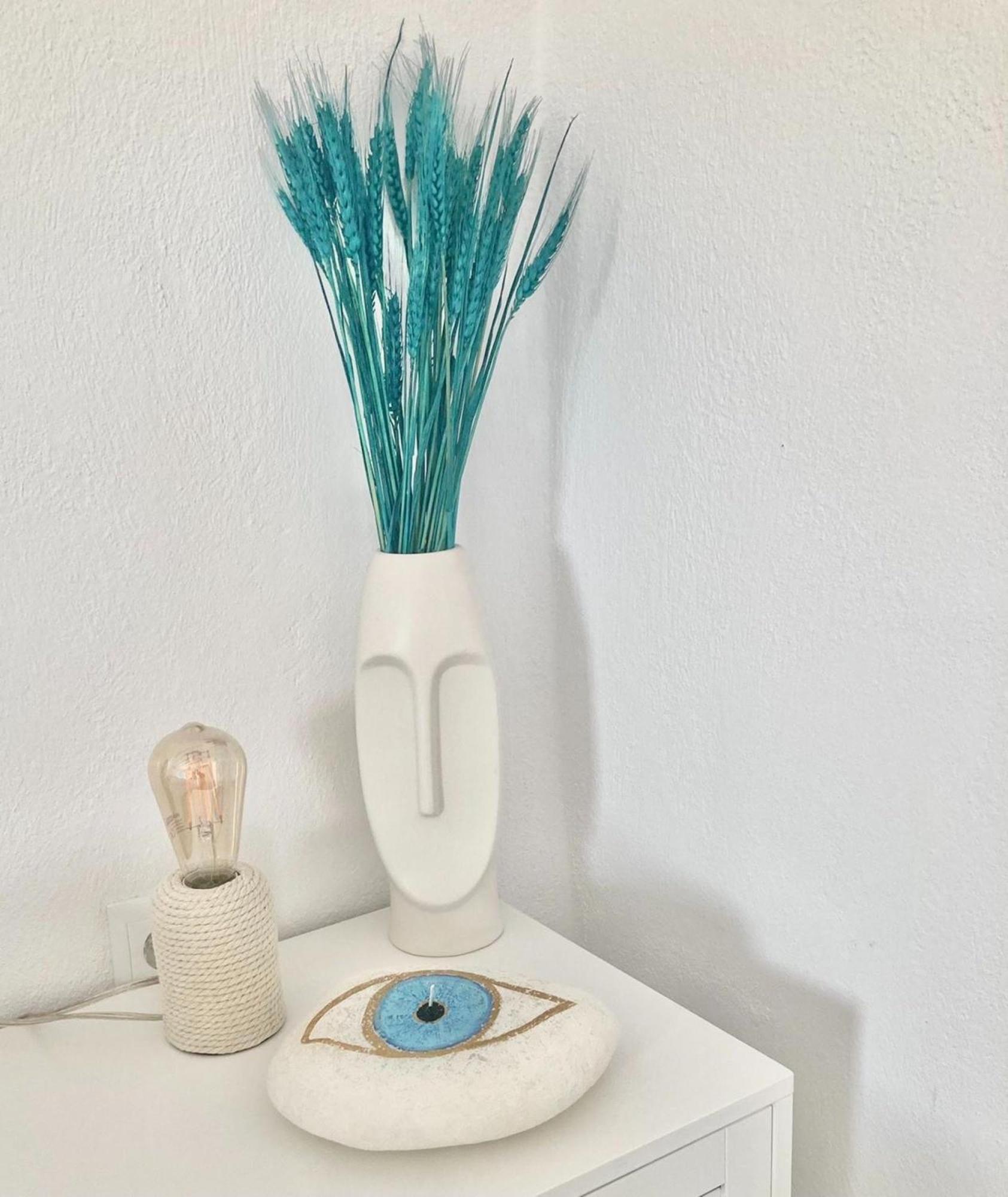 Naira Family Mykonos Holiday home *